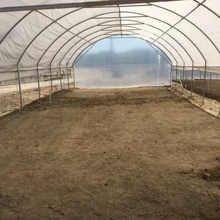 Before, just a shell and a dream