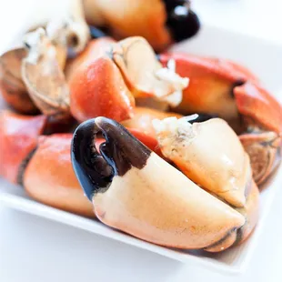 a plate of cooked crab legs