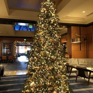Xmas tree