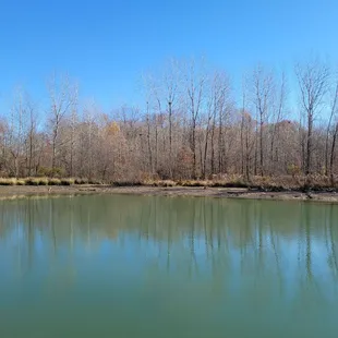 Pond
