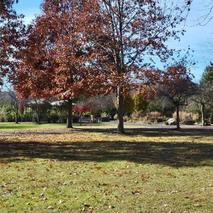Garden area near parking lot