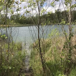 The Lake