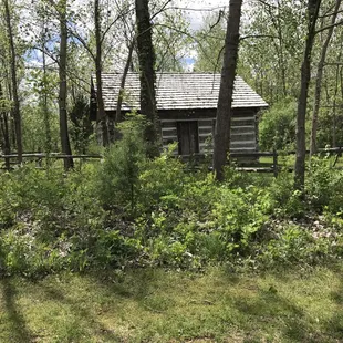 Cabin