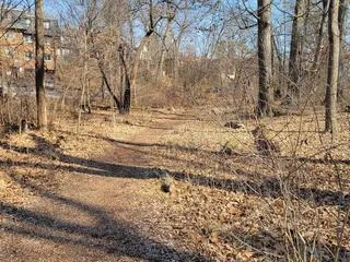 Iuka Park