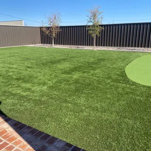 Corn hole and putting green