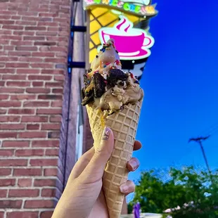 cookie monster ($8) w/ panna cotta ice cream