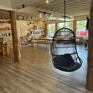 ramen and noodles, interior