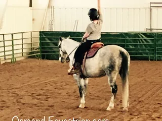 Osmond Equestrian