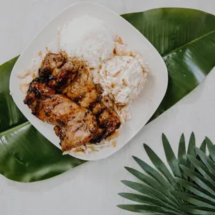  plate of rice and meat