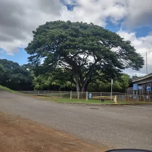 Moanalua Community Park