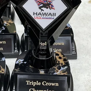 This prestigious award goes to those wrestlers, that won their folk style, Freestyle and Greco wt class