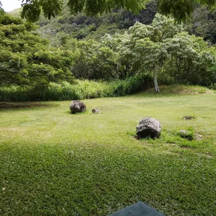 Interesting rocks in an otherwise well manicured grassy area!
