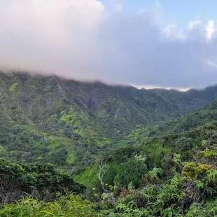 Instagram: @telephonesmopthie