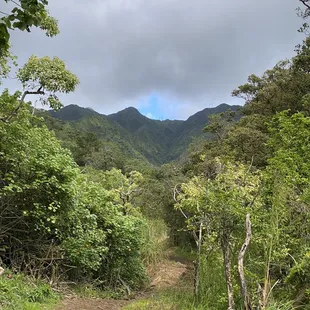 4 Miles of Trail to the End...