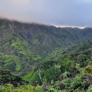 Instagram: @telephonesmopthie