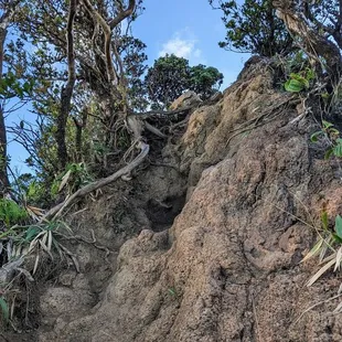 Instagram: @telephonesmopthie