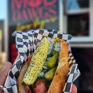 hot dog, hot dogs, sandwich, food