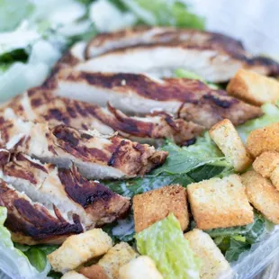 Grilled Chicken Caesar Salad