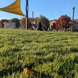 Fun grassy place for the kids!