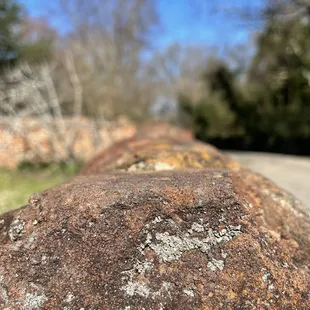 a close up of a rock