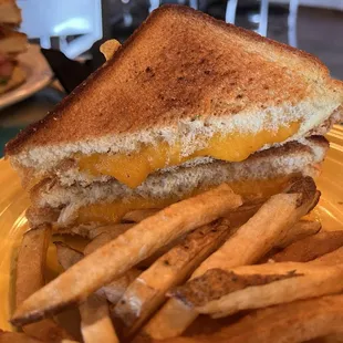 Kids grilled cheese sandwich with fries.
