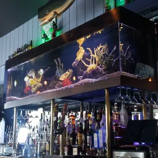 Fish... and that big ol whale