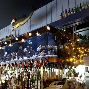 The aquarium above the bar at Moby Dick's