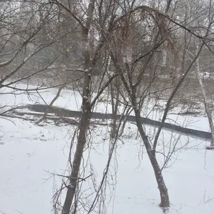 A booth with a view...