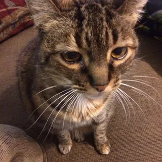 Ben M.