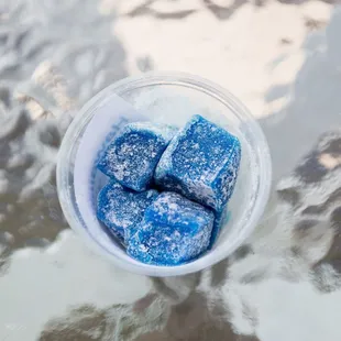 Mochi (@miguelmoralesphotography on Instagram)