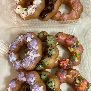 Dozen (12 Count)