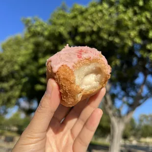 Strawberry Mochisada