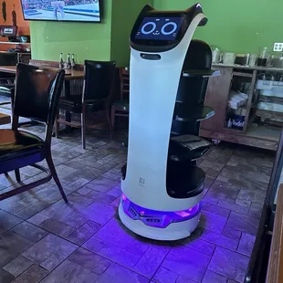 Serverbot, Penelope