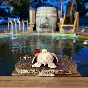 Outdoor seating with an amazing atmosphere