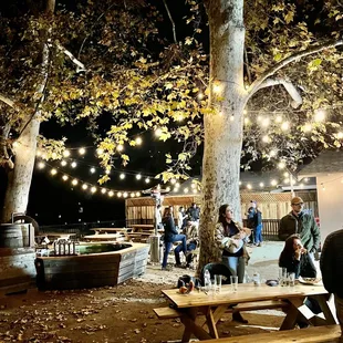a group of people standing under a tree