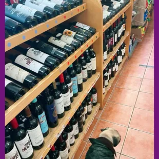 Biko browsing the aisles.