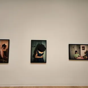 Diaries of Home exhibit