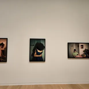 Diaries of Home exhibit