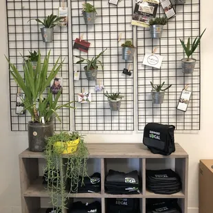 Cute little lobby area with MG merch and business cards of local businesses