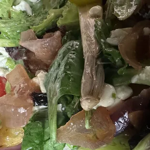 Farmer&apos;s Flatiron Salad with bonus Mantis