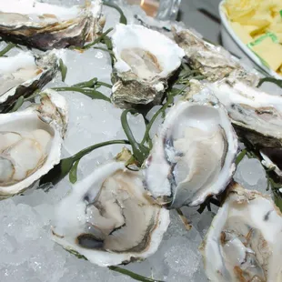 oysters and mussels, mussels, food, shellfish, oysters