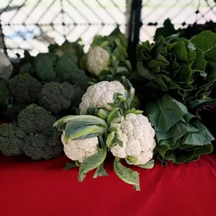 Mmmmm,  brassica&apos;s! Cheese or no cheese?