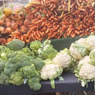 A lot of fresh deliciousness in one photo.