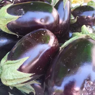 Purple and photogenic organic eggplants.