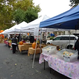 Oakdale local Cheese