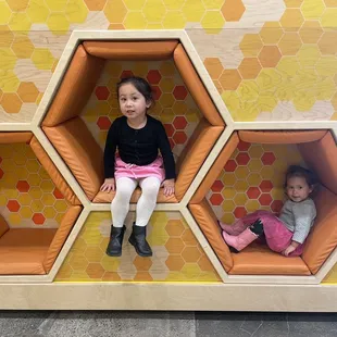 Bee hive
