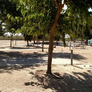 Typical RV camp sites here