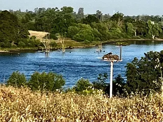 Lake Mcclure & Lake Mcswain