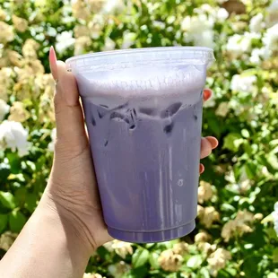 Ube Soy Latte