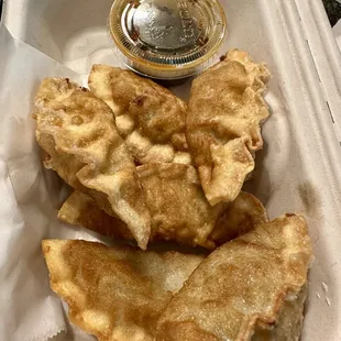 Fried Dumplings